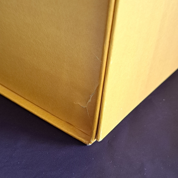 Fendi Magnetic Flip Lid Boot Box with Pair of Dust Bags - Picture 8 of 16